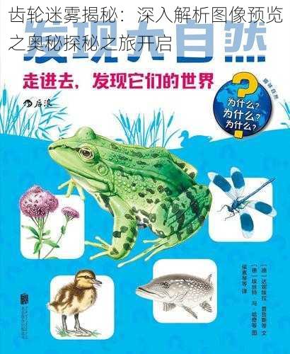 齿轮迷雾揭秘:深入解析图像预览之奥秘探秘之旅开启