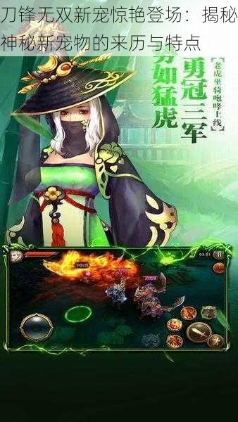 刀锋无双新宠惊艳登场:揭秘神秘新宠物的来历与特点