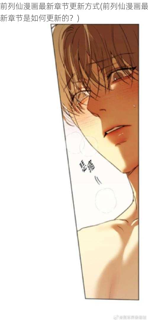 前列仙漫画最新章节更新方式(前列仙漫画最新章节是如何更新的?)
