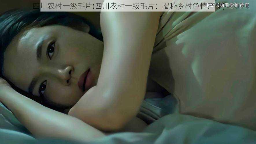 四川农村一级毛片(四川农村一级毛片:揭秘乡村色情产业)