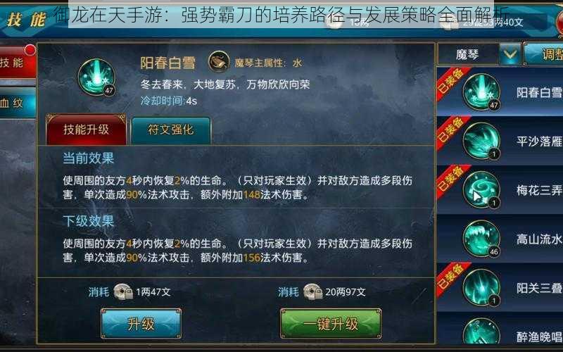 御龙在天手游:强势霸刀的培养路径与发展策略全面解析